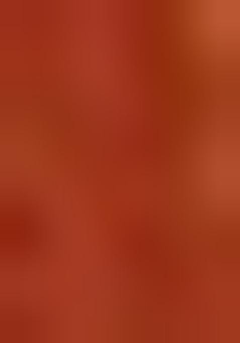 Orange Printed Silk Lehenga Set