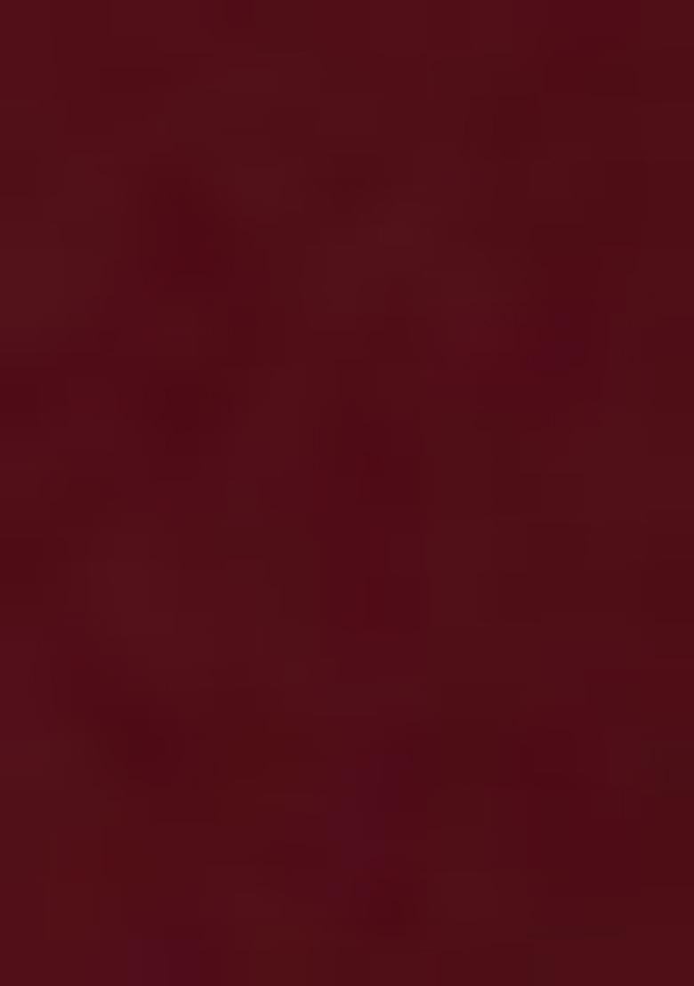 Rust Embroidered Crepe Lehenga Set - Indya