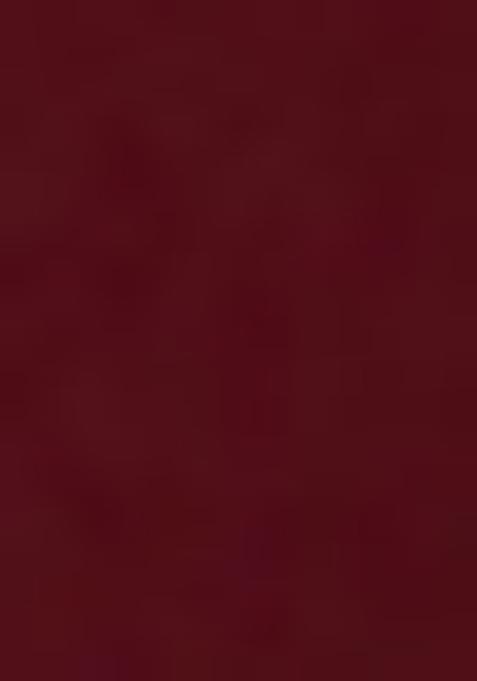 Rust Embroidered Crepe Lehenga Set