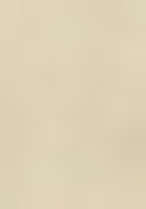 Off White Printed Organza Lehenga Set