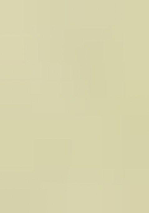 Light Green Printed Organza Lehenga Set