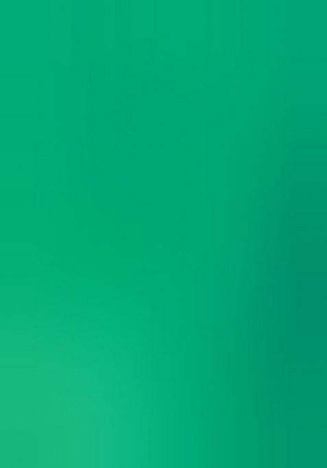 Green Printed Georgette Lehenga Set