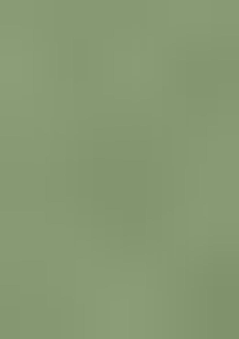 Sage Green Embroidered Blouse Georgette Lehenga Set - Indya