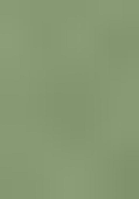 Sage Green Embroidered Blouse Georgette Lehenga Set