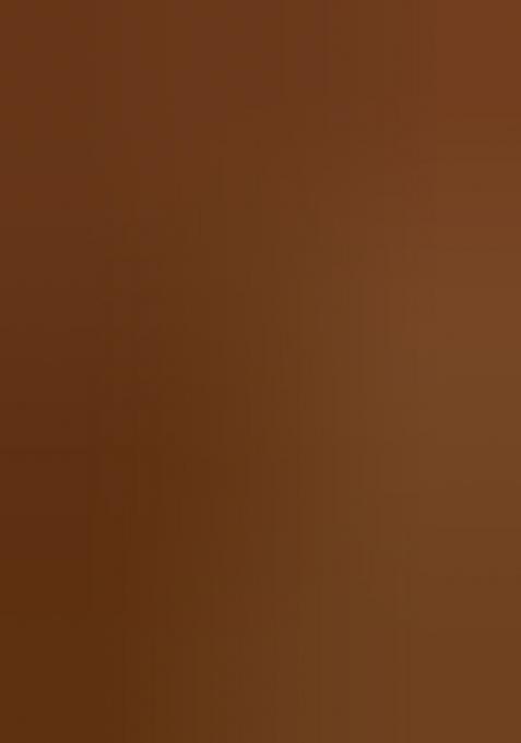 Multicolor Printed Tissue Lehenga Set