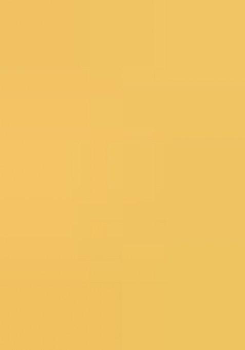 Yellow Floral Print Chiffon Lehenga Set