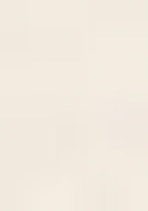 Pink Emroidered Tissue Lehenga Set