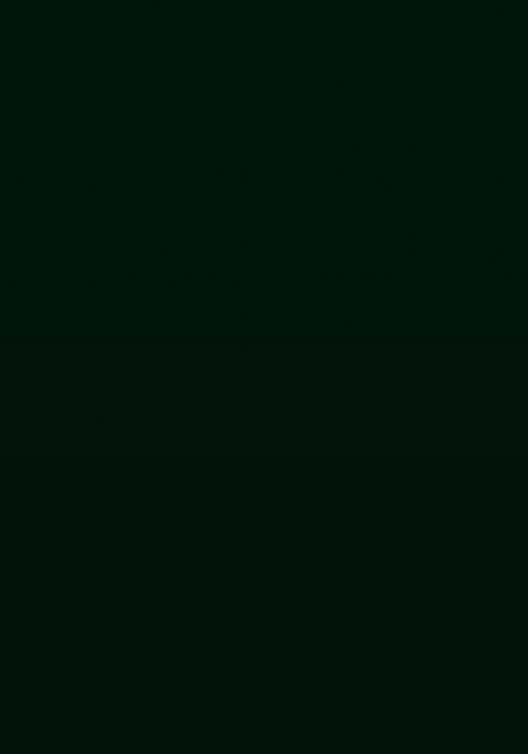 Green Net Sequin Lehenga Set