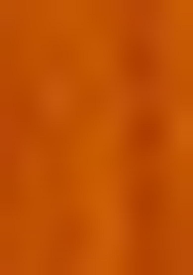 Mustard Yellow Net Embellished Blouse Lehenga Set