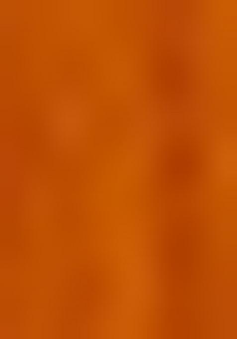 Mustard Yellow Net Embellished Blouse Lehenga Set