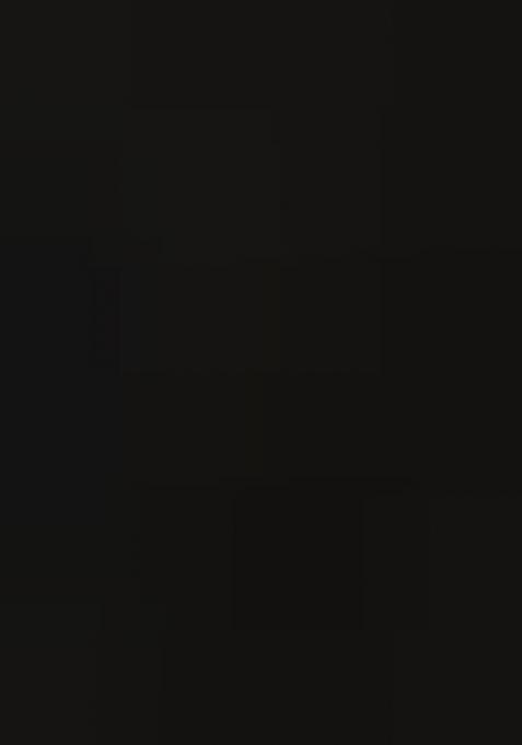 Black Net Sequin Embellished Blouse Lehenga Set