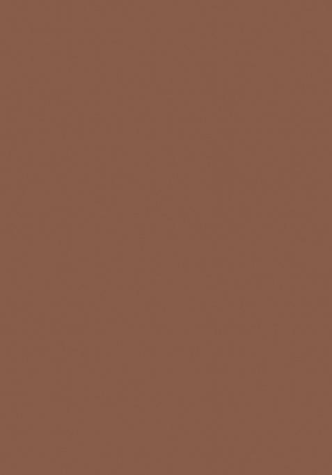 Brown Embellished Blouse Georgette Lehenga Set