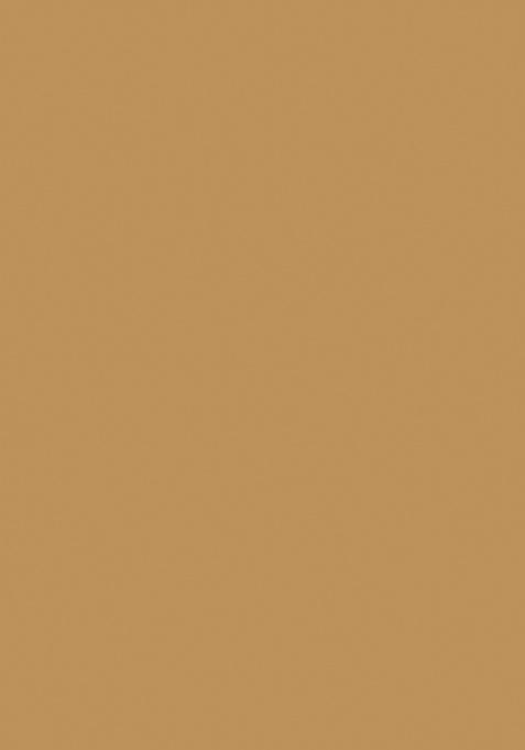 Cream Chinon Floral Printed Lehenga Set