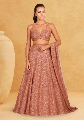 Silver Sequins Embroidery Net Lehenga Set