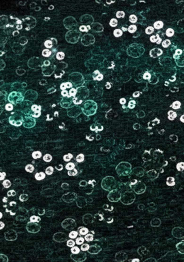 Emerald Green Sequin Embroidery Net Lehenga Set - Indya