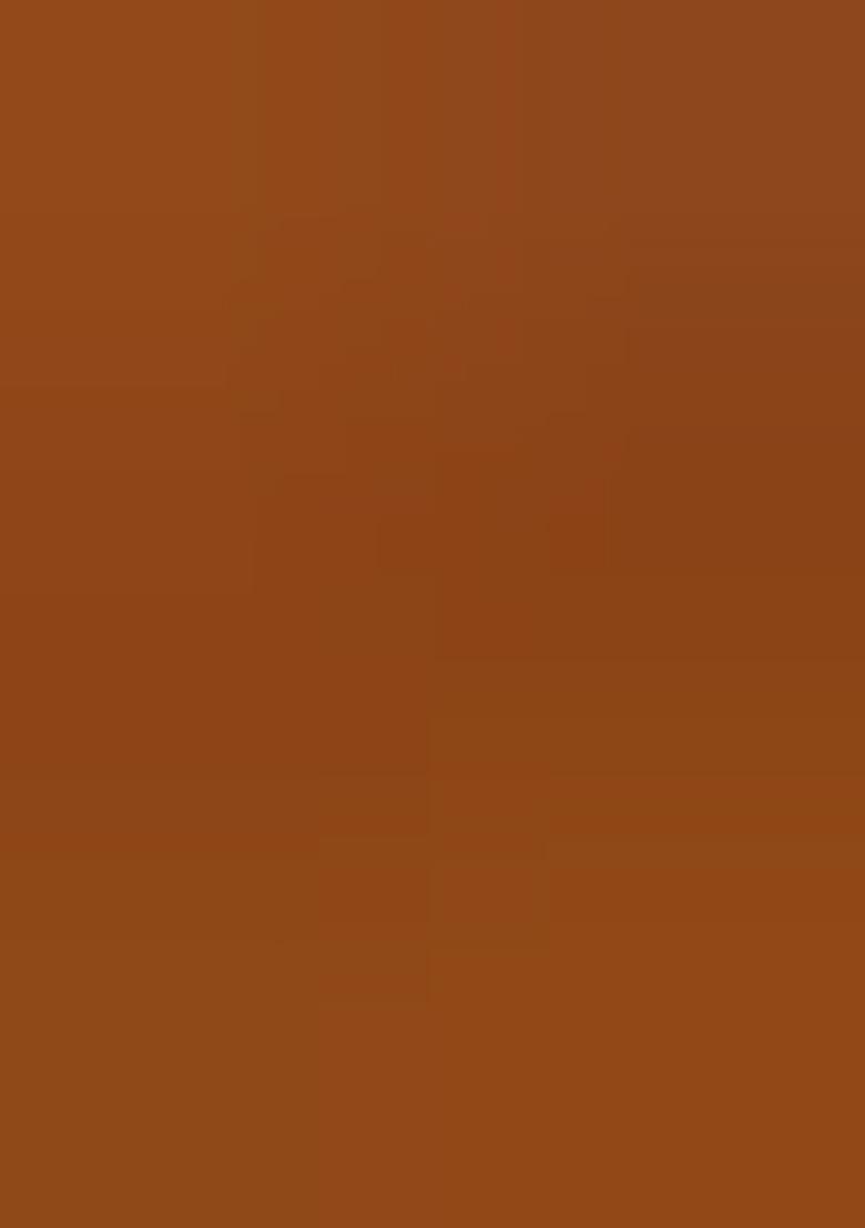 Bronze Brown Sequin Lycra Lehenga Set - Indya