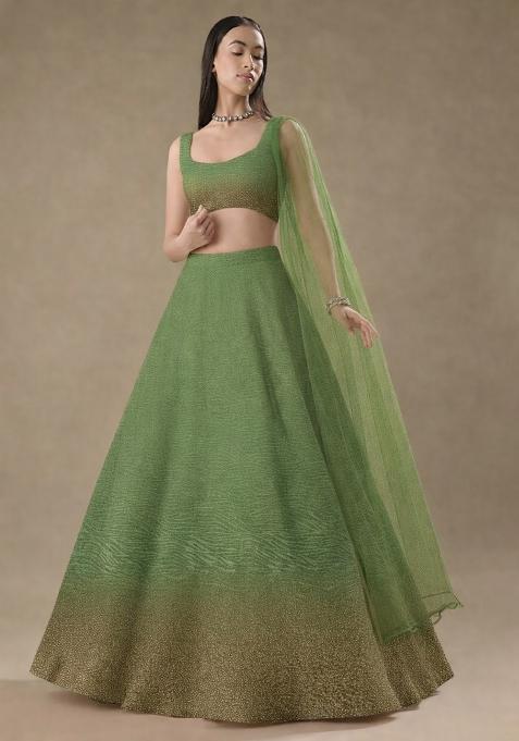 Olive Green Tissue Soild Lehenga Set
