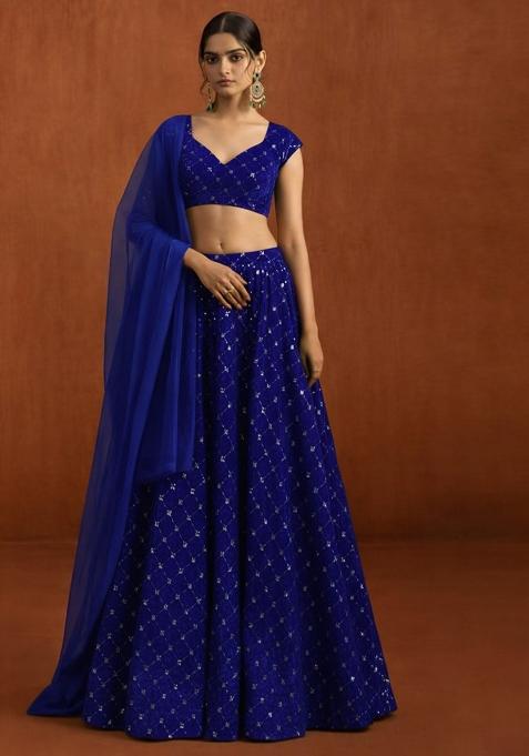 Royal Blue Embroidered Velvet Lehenga Set