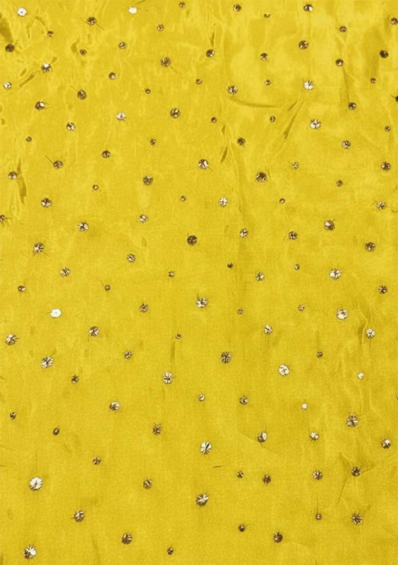 Mustard Yellow Zari Tissue Lehenga Set - Indya