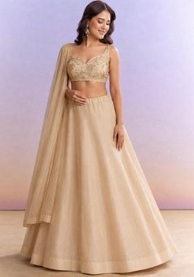 Beige Embroidered Georgette Lehenga Set