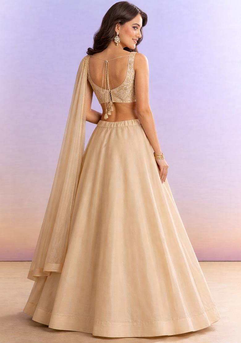 Beige Embroidered Georgette Lehenga Set - Indya