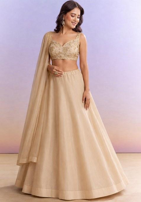 Beige Embroidered Georgette Lehenga Set