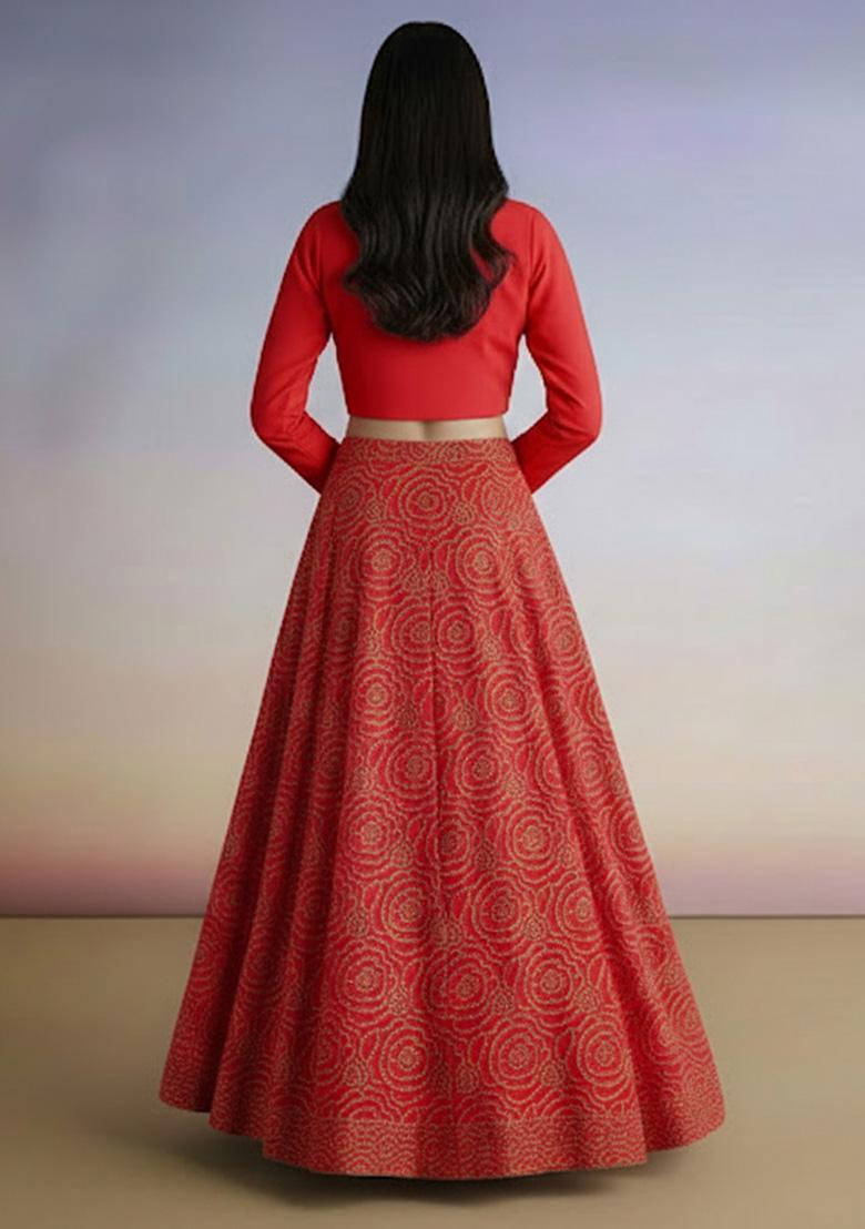 Deep Red Embroidered Crepe Lehenga Set - Indya