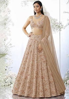 Beige Embroidered Net Lehenga Set