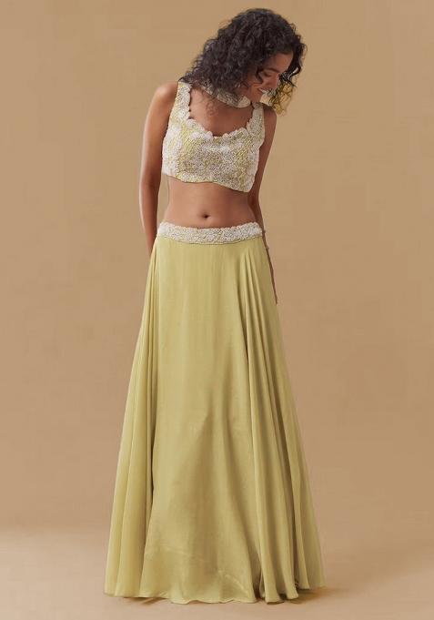 Pastel Yellow Chinon Handwork Lehenga Set