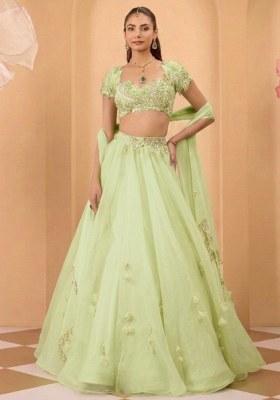 Mint Green Organza Handwork Lehenga Set