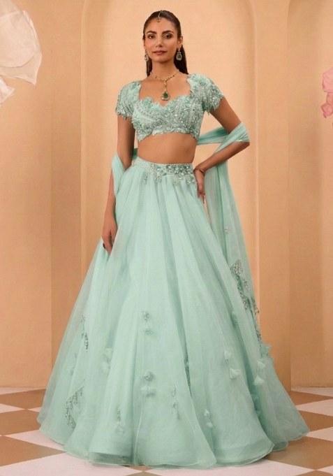 Light Blue Organza Handwork Lehenga Set