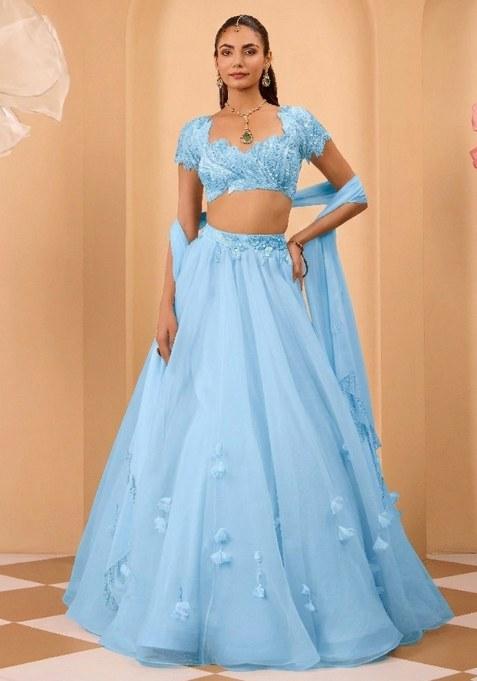 Blue Organza Handwork Lehenga Set