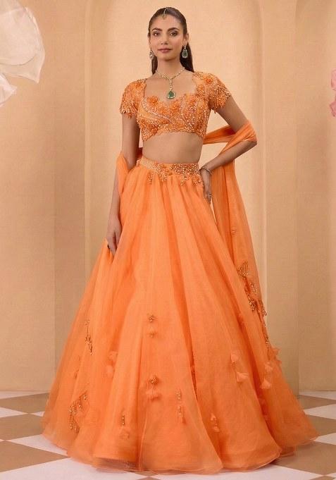 Orange Organza Handwork Lehenga Set