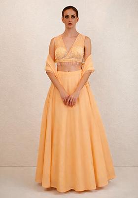 Peach Hand Work Net Lehenga Set