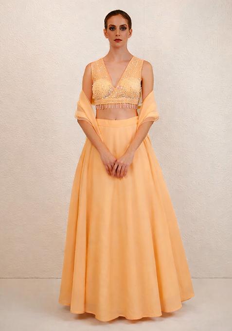 Peach Hand Work Net Lehenga Set