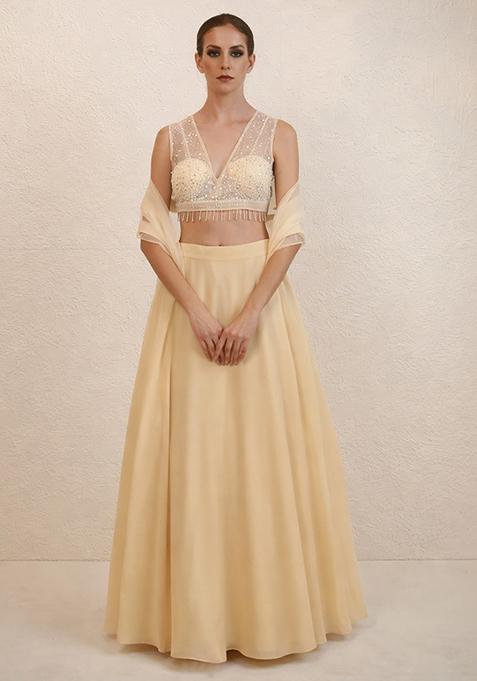 Beige Hand Work Net Lehenga Set