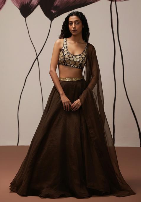 Brown Hand Work Organza Lehenga Set