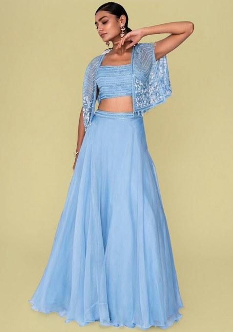 Pastel Blue Organza Handwork Lehenga Set