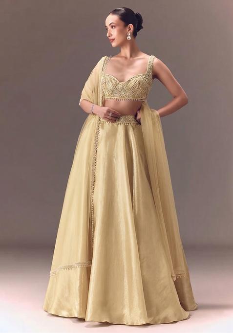 Champagne Gold Embroidered Handwork  Lehenga Set