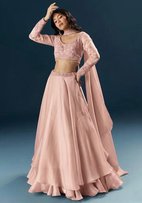 Blush Pink Embroidered Handwork Lehenga Set — view on Indya