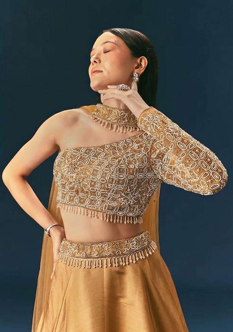 Gold Embroidered Handwork Lehenga Set - Indya
