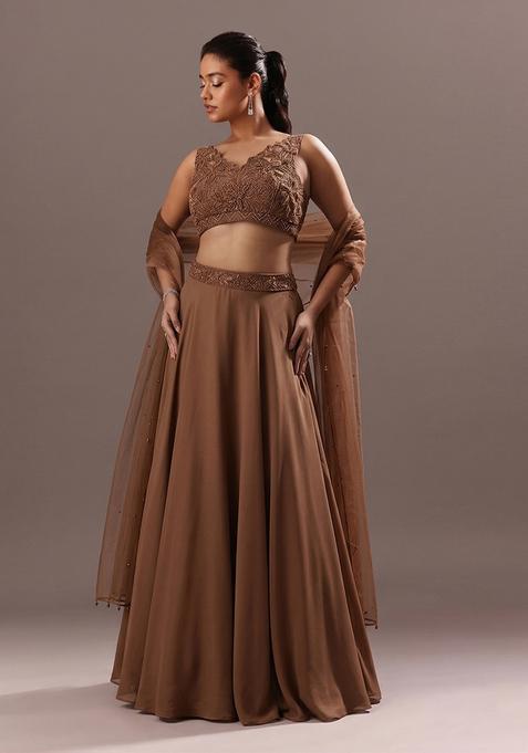 Chocolate Brown Embroidered Handwork  Lehenga Set