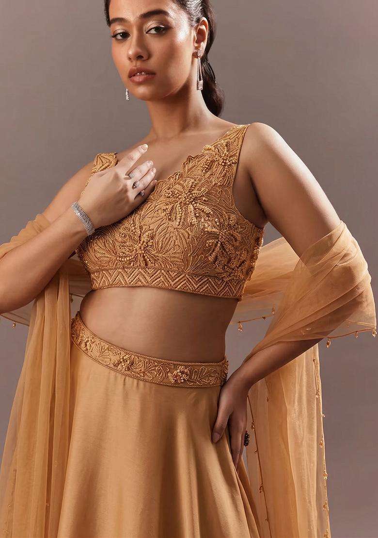 Gold Embroidered Handwork Lehenga Set - Indya