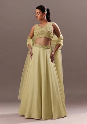 Sage Green Embroidered Handwork  Lehenga Set