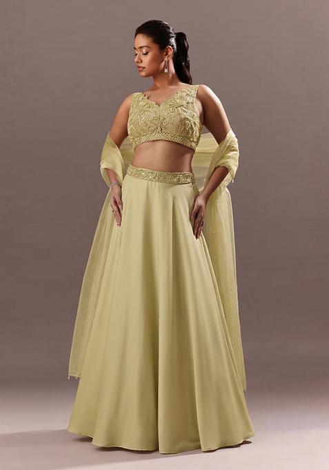 Sage Green Embroidered Handwork  Lehenga Set