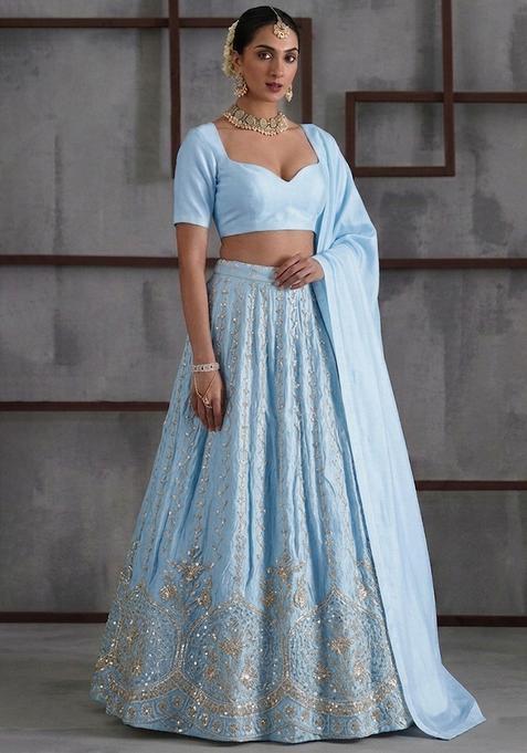 Baby Blue Embroidered Cosmos Lehenga Set