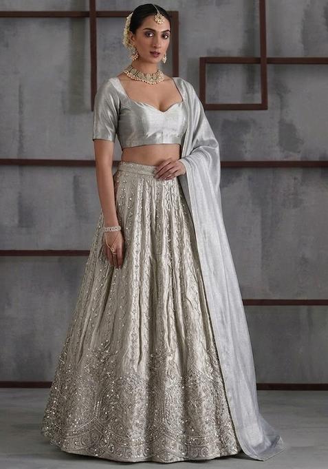 Silver Embroidered Cosmos Lehenga Set