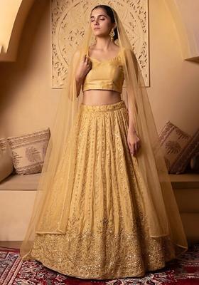 Gold Embroidered Cosmos Lehenga Set
