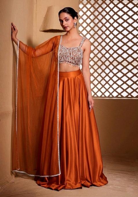Burnt Orange Embroidered Handwork Lehenga Set