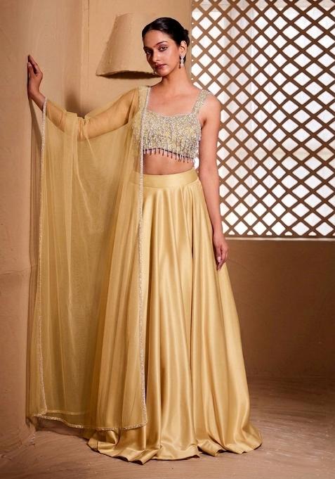 Beige Embroidered Handwork Lehenga Set